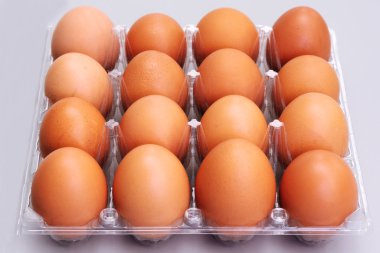 kahverengi tavuk yumurtası gri arka plan, Paskalya bayram kavramı üzerinde plastik kutu