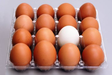 kahverengi tavuk yumurta plastik kutu gri arka plan, Paskalya ve fark kavramı üzerinde beyaz yumurta