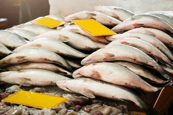 Fresh Market Seller, Fish Seafood Fresh Raw Food — Stock Photo, Image