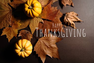 Balkabağı ve akçaağaç yapraklı Şükran Günün kutlu olsun.