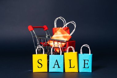 Alışveriş arabası ve alışveriş çantası, yıl sonu indirimi, 11.11 bekarlar günü satış konsepti