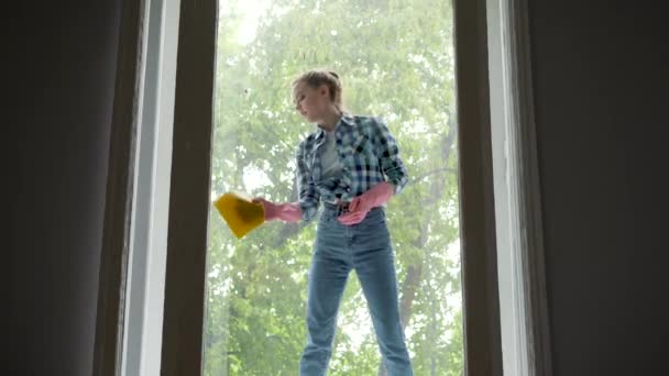 Schöne junge Frau wäscht Fenster im Zimmer — Stockvideo