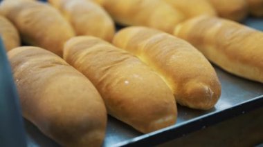 Somun ekmek fırını üretim hattında üzerinde. Pişmiş somun ekmek fırını, adil dışarı-in güzel bir altın rengi ile fırın içinde. Ekmek unlu gıda fabrika üretim taze ürünler ile