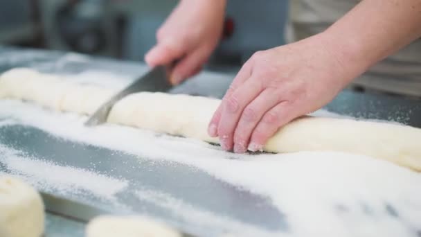 Hacer galletas, pasta primer plano de las manos de las mujeres en la cocina de confitería . — Vídeo de stock