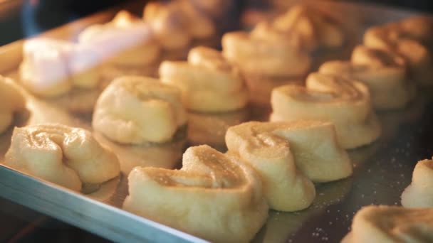 Kekse in der Bäckerei. frisch gebackene Plätzchen. Im Ofen gebackene Kekse aus nächster Nähe. Herstellung von Kuchen in der Süßwarenfabrik — Stockvideo