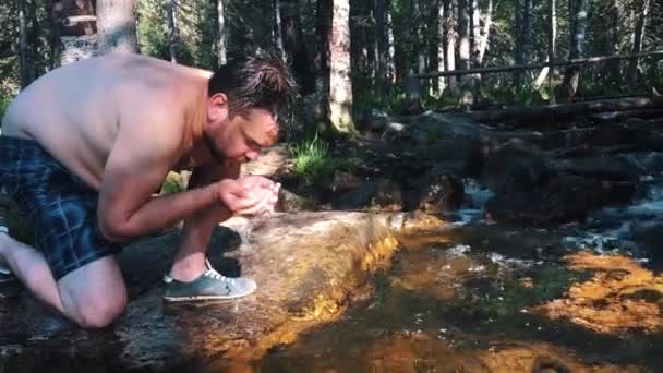 Pít čistou vodu z horské řeky mans hand je absorbována čistou vodu z horské řeky. — Stock video