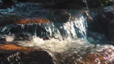 dağlarda yosunlu akışı