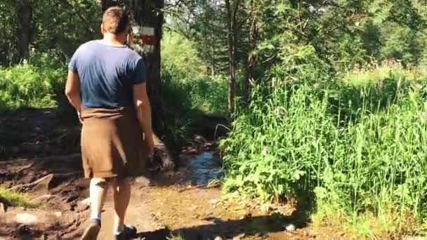 Senderismo Sendero. El turista es un viajero. Parque Nacional. Joven turista Senderismo en verano en las montañas. El sendero de trekking, naturaleza, al aire libre — Vídeo de stock