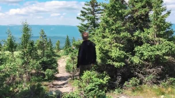 Caminhando ao longo da trilha em um dia ensolarado. Grupo de amigos viagens de aventura de verão na natureza da montanha ao ar livre — Vídeo de Stock