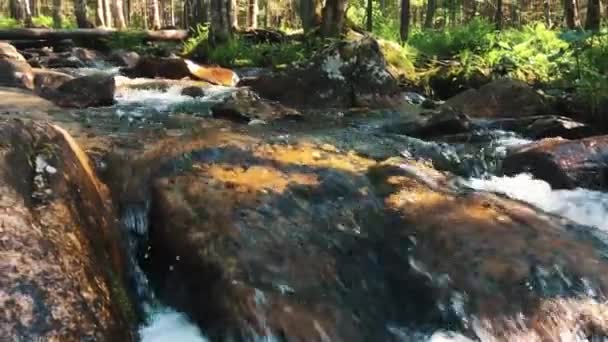 Mossy stream in Bergen — Stockvideo