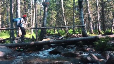 Yol güneşli bir günde hiking. Arkadaşlar yaz macera seyahat dağ doğa açık havada Grup
