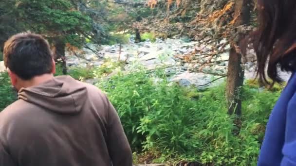 Wandelen langs het parcours op een zonnige dag. Groep vrienden zomer avontuurlijke reizen in berg natuur buiten — Stockvideo