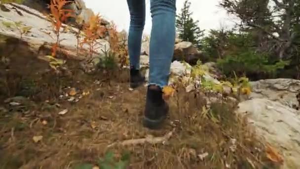 年轻女子徒步上山山坡上穿着皮革登山靴。徒步旅行的女孩徒步上山在阳光下行走. — 图库视频影像