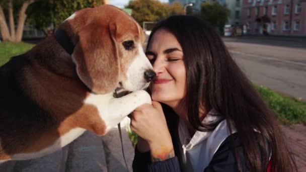 Flicka gå omkring med beagle valp i höstlig park — Stockvideo