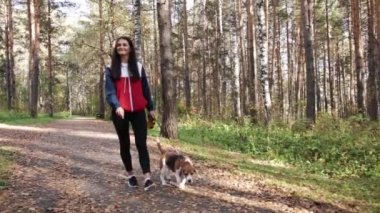 Kız köpekle Beagle Sonbahar Park yürüyüş.