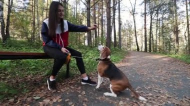 Kız köpekle Beagle Sonbahar Park yürüyüş