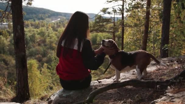 Mädchen geht mit Hund Beagle im Herbstpark spazieren — Stockvideo
