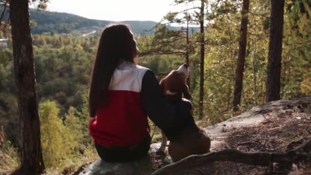 Woman with a charming dog walking in the autumn Park — Stock Video