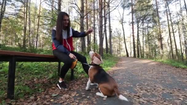 Жінка з чарівною собакою, що йде в осінньому парку — стокове відео