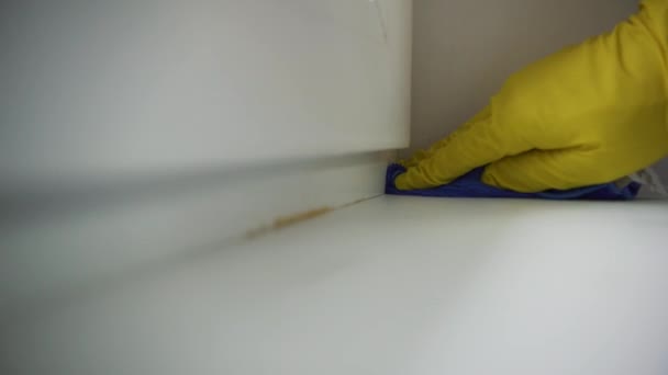 Lavage professionnel des fenêtres, la fille de l'entreprise de nettoyage lave les endroits difficiles d'accès, nettoyage à la vapeur — Video