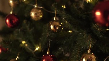 Kız Noel ağacını süslüyor.