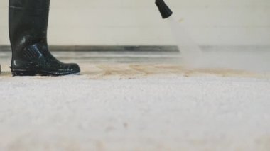 Yüksek basınçlı yıkama ile temizlik halı.