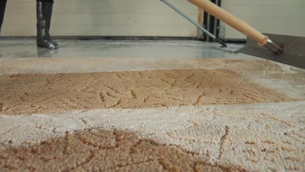 Szakmai szőnyegtisztítás. Ember tisztítja a koszos szőnyeg. Tisztítja a hab-tisztítás után — Stock videók
