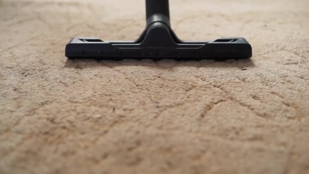 Vacuum cleaner cleaning the carpet. — Stock Video