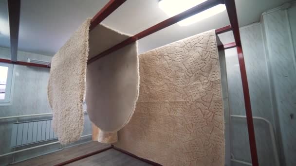 Сушка килимів в кімнаті з іонізацією повітря — стокове відео