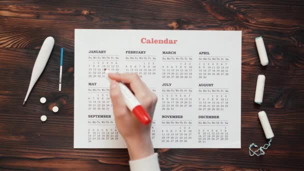 Menstruation kalender med bomull tamponger, närbild — Stockvideo