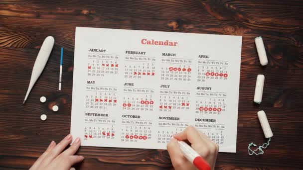 Menstruation calendar with cotton tampons, close-up — Stock Video