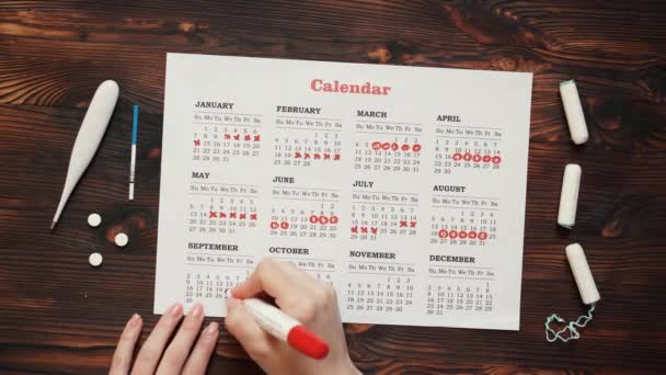 Calendario de menstruación con tampones de algodón, primer plano — Vídeos de Stock