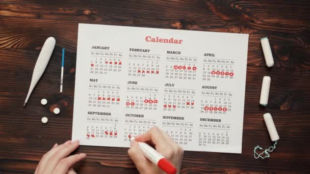 Menstruační kalendář s bavlněné tampony, detail — Stock video