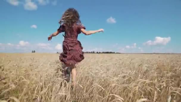 Portrait of young girl in summer field. — Stock Video