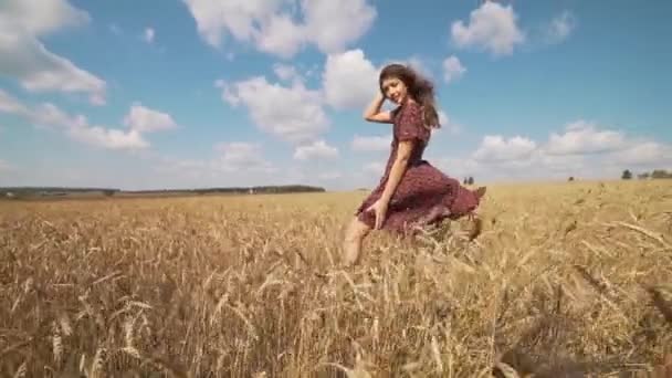 Portrait de jeune fille dans le champ d'été . — Video