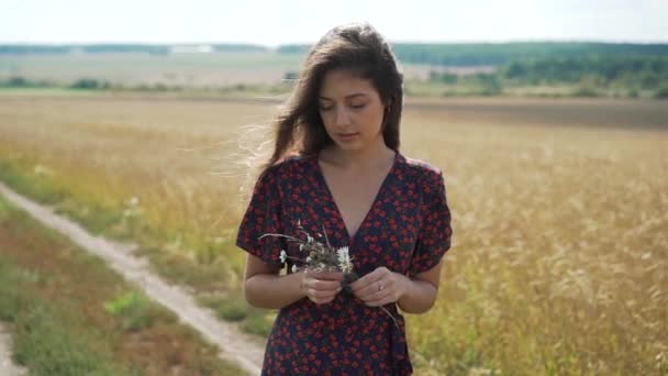 Portrait of young girl in summer field. — Stock Video