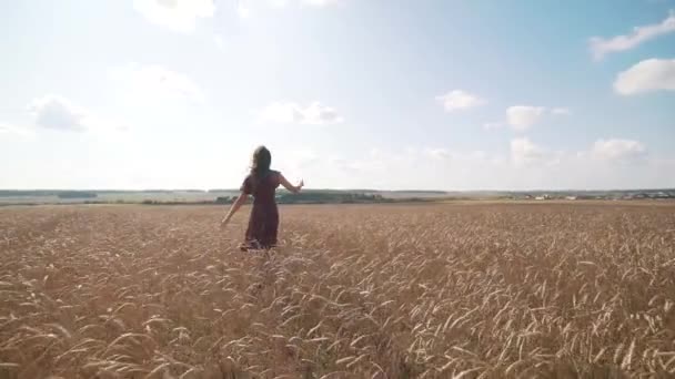 Portret van een jong meisje in zomer veld. — Stockvideo