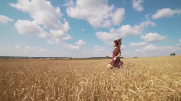 Portrait of young girl in summer field. — Stock Video