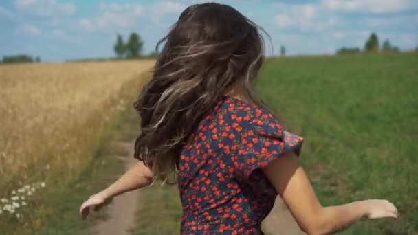 Portrét mladé dívky v letní pole. — Stock video