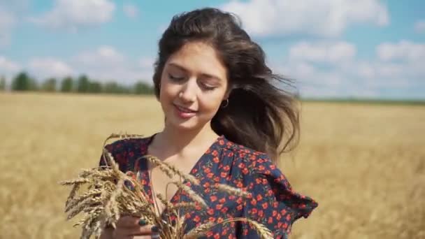 Portrait de jeune fille dans le champ d'été . — Video