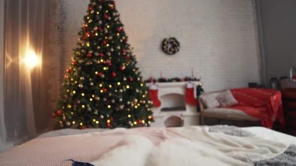 Noel ağacı, güzel beyaz yavru. — Stok video