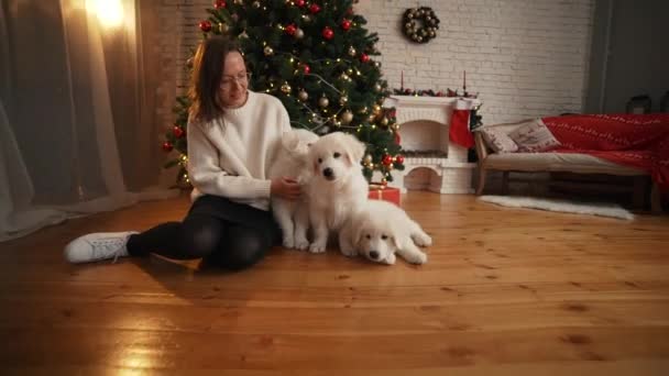 クリスマス ツリーと暖炉の背景に幸せな子犬と遊ぶ女の子 — ストック動画