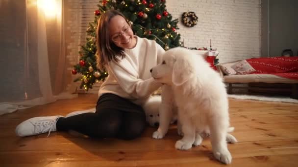 Meisje speelt met gelukkig puppy op de achtergrond van de kerstboom en open haard — Stockvideo