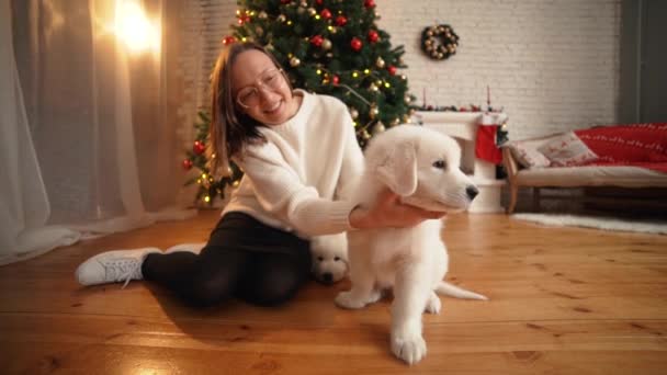 クリスマス ツリーと暖炉の背景に幸せな子犬と遊ぶ女の子 — ストック動画