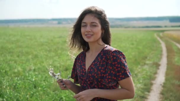 Portrait of young girl in summer field — Stock Video