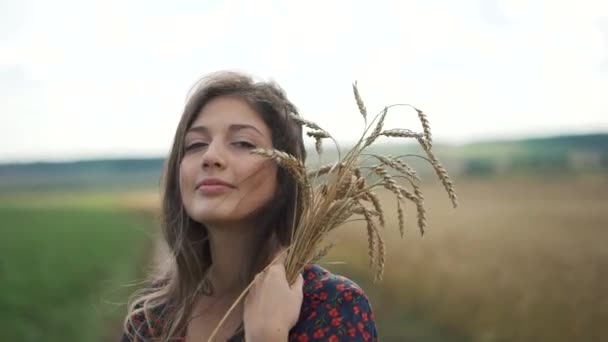 Portret młodej dziewczyny w lato pole — Wideo stockowe
