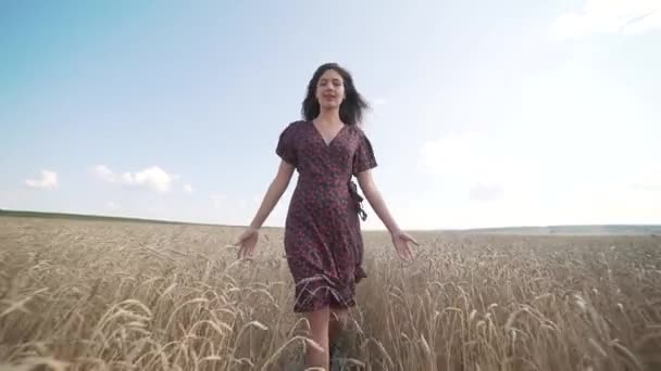 Portrait de jeune fille dans le champ d'été . — Video