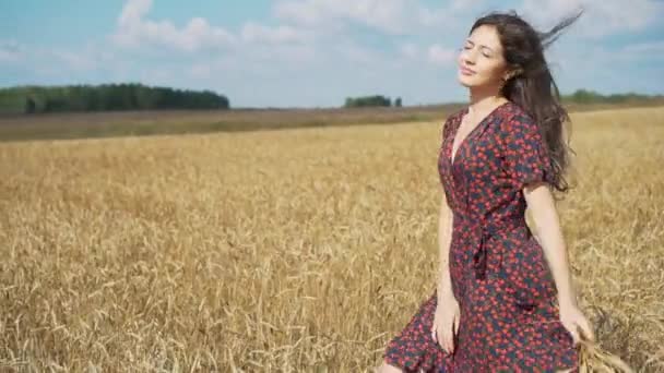 Portrait of young girl in summer field. — Stock Video