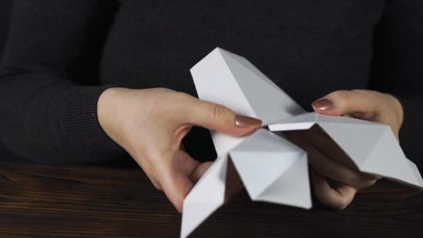The girl is made a paper 3d unicorn — Stock Video