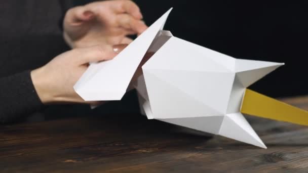 Het meisje is gemaakt van een 3D-Eenhoorn van papier — Stockvideo